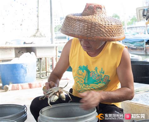 三亚春节前探店：“第一农贸市场”名气最大，看看这里的海鲜价格_加工