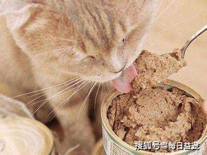 猫最爱吃的10种食物 这10种食物它看到都会“流口水” - 生活 - 布条百科