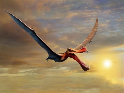 澳大利亚发现一种翼展有7米的新翼龙化石Thapunngaka shawi - 神秘的地球 科学|自然|地理|探索