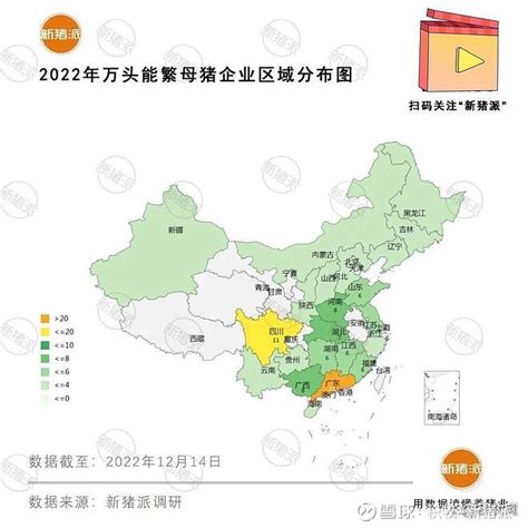 2019年中国养猪行业分析报告-产业现状与未来规划分析 - 中国报告网