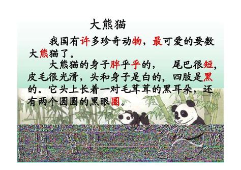 大熊猫的外形特点描写三年级(大熊猫说明文作文500字)_金纳莱网