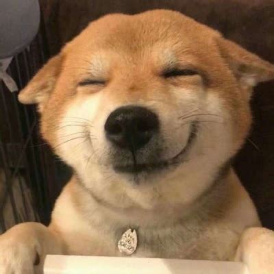 沙雕图片