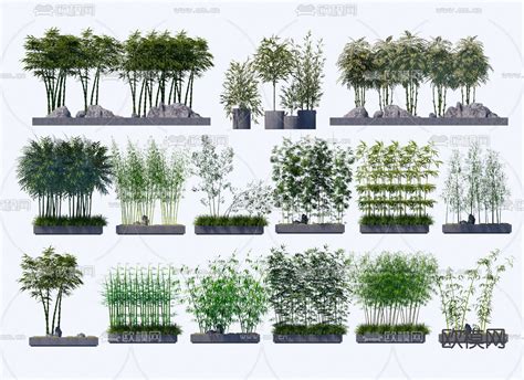 新中式竹子 景观植物 罗汉竹su模型下载_ID13021485_sketchup模型下载-欧模网