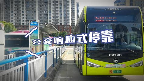 这些“港湾式”公交车停靠站点建成启用！在练塘这条路上……_青浦要闻_新闻中心_上海市青浦区人民政府