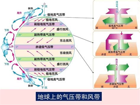 劳雷尔·康兰 的图像结果