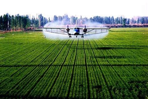 现代生态农业的概念及发展前景与趋势分析_北京山合水易规划设计院