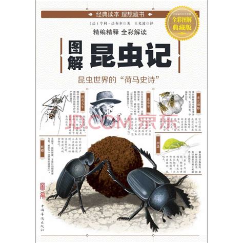 宝宝昆虫记,昆虫记,昆虫记读书_大山谷图库