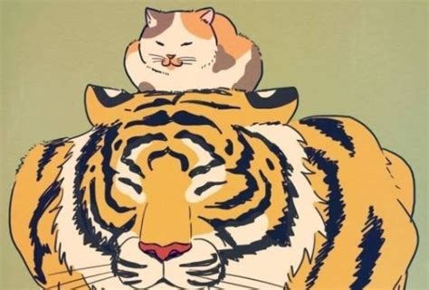 为什么说老虎是大猫？看了这6张图你就知道了