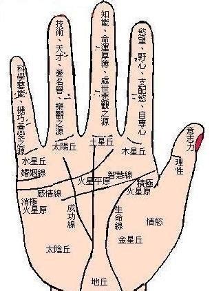 男士手相图解左手图片 男士手相图解左手图片