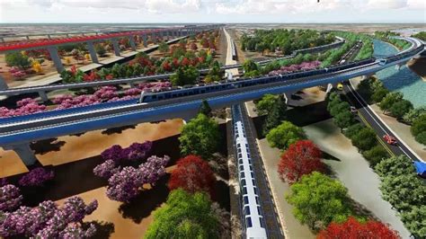 全省首例！这里将打造60公里的高铁沿线生态廊道-住在龙城