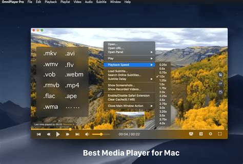OmniPlayer Mac 苹果全能视频播放器软件 – 欧乐安