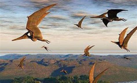 十大飞行恐龙，会飞的恐龙有哪些