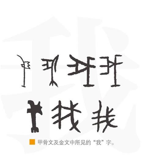 汉字的演变PPT课件中国传统文化汉字下载 - LFPPT