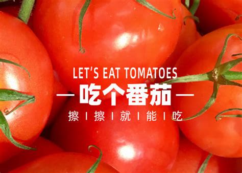 独具创意的西红柿包装设计案例欣赏 -圣智扬品牌策划公司