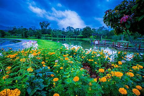 中国科学院西双版纳热带植物园,国内旅游景点,旅游景点,摄影素材,汇图网www.huitu.com