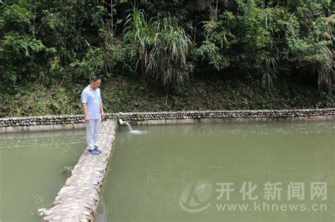 保山青华海图片,东湖,保山图片(第2页)_大山谷图库