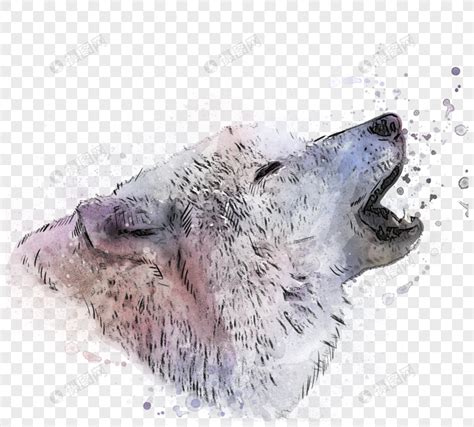 狼咆哮嚎叫头像手绘水彩素描元素元素素材下载-正版素材401883020-摄图网