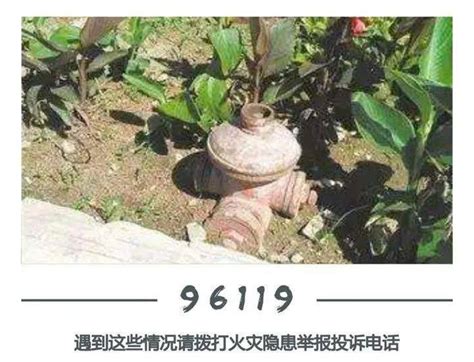 96119这个电话号码是什么意思-百度经验