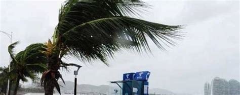杭州地区夏季午后雷暴大风环境条件分析