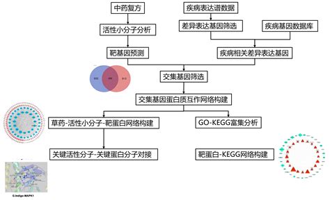 中药网络药理学研究-研载生物科技（上海）有限公司