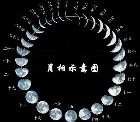 每日科普 二十四节气是怎么来的？|地球|太阳_新浪新闻