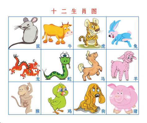 十二生肖图图片