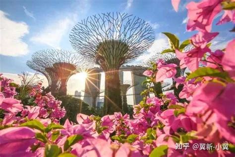 新加坡政府花10亿新币打造的公园