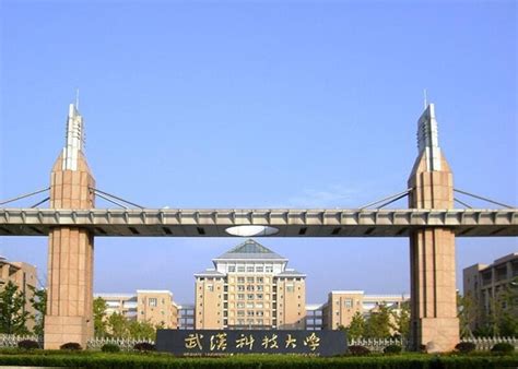 武汉城市学院_开设专业_高考志愿网