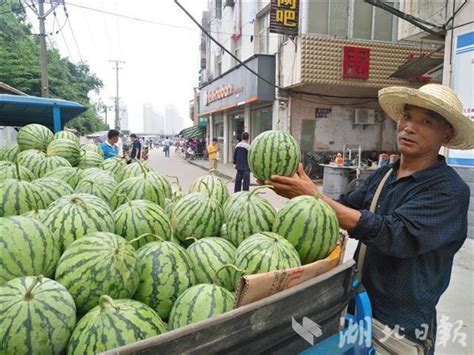 吐鲁番的早熟西瓜上市了零售价8元/公斤_手机凤凰网