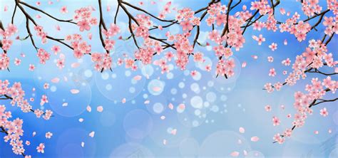 蓝色樱花背景图图片