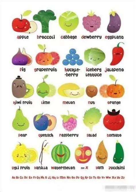 蔬菜英语单词大全有哪些我们常见的单词呢？ - 听力课堂