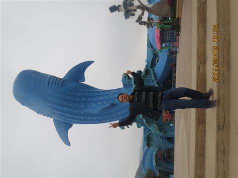 广州长隆玻璃钢海洋鲸鱼雕塑摆设定做厂家【价格，厂家，求购 ...
