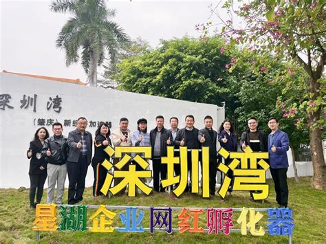 新媒体运营交流会在深圳湾（肇庆）新经济加速器举行