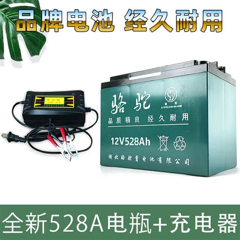 48v锂电池能跑多远,锂电池放10年还能用吗,48v锂电池充电器_大山谷图库