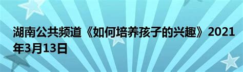 湖南公共频道《如何培养孩子的兴趣》2021年3月13日_StyleTV生活网