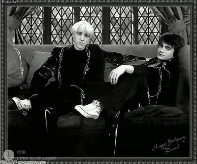 drarry(德哈/哈德)图片