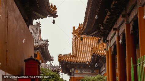 科学网—北京雍和宫：法统 - 陈立群的博文