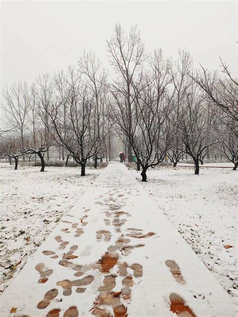 贵州入冬后的第一场雪迎来市民游园闻雪而动拍雪景、打雪仗…… – 新贵州