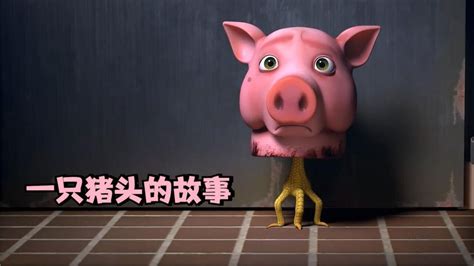 286买只大猪头，用专业设备做“压猪头”忙活一夜美味成型，真香_腾讯视频