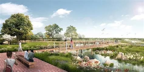 滨江湿地生态景观设计修复|空间|景观设计|精雕品牌策略设计 - 原创作品 - 站酷 (ZCOOL)
