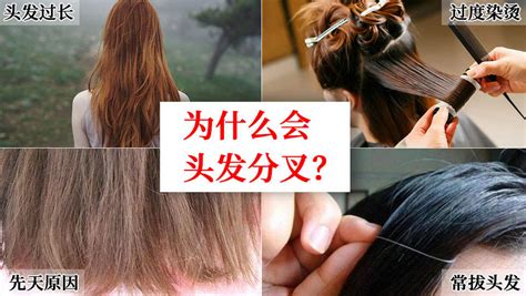 头发为什么会分叉，头发分叉有什么影响？|头发|头皮|营养_新浪新闻