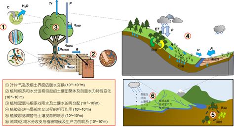 Scientific Reports：草地生态工程对长江源区水文过程的影响----中国科学院青藏高原研究所