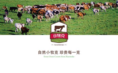 “中国和牛”入沪记：上海助推贵州打造全国优质牛羊肉供应基地_国内 _ 文汇网