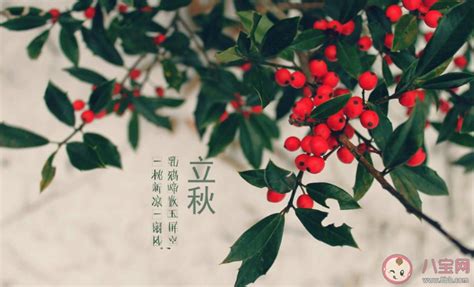 立秋祝福语图片