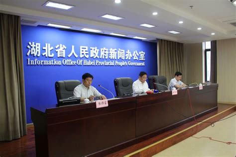 湖北省第七次全国人口普查主要数据情况新闻发布会 - 湖北省人民政府门户网站