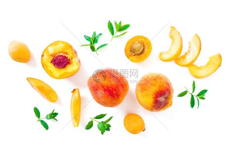白背景与叶子分离的提取桃和杏仁水果形态顶高清图片下载-正版图片504315154-摄图网
