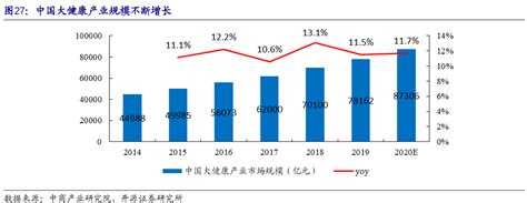 大健康市场分析报告_2020-2026年中国大健康市场深度研究与市场需求预测报告_中国产业研究报告网