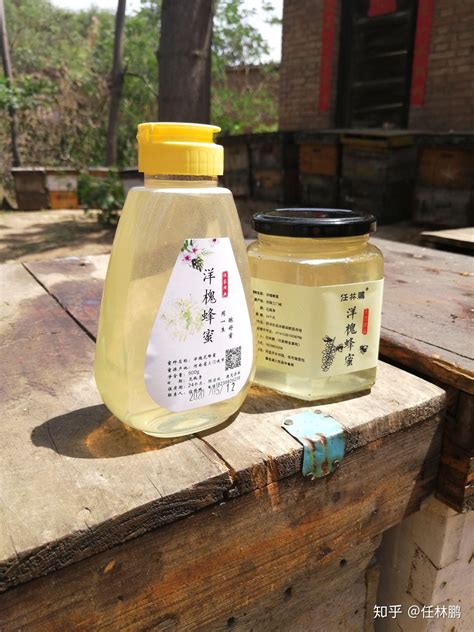 枣花蜂蜜纯正天然自产蜂农自家养买1斤送1斤枣花蜂蜜小瓶装500g峰_虎窝淘