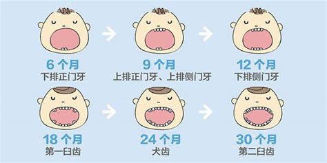 育儿医学科普：为啥天天刷牙还会蛀牙？3个宝宝有2个蛀牙，你以为是糖吃多了？-黄鹤楼动漫动画片设计制作公司