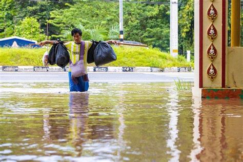 黑龙江五常遭洪水袭击，村民紧急撤离：拉了一车猪和一笼鸡_新浪新闻